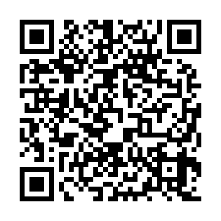 QR code for ZX29394