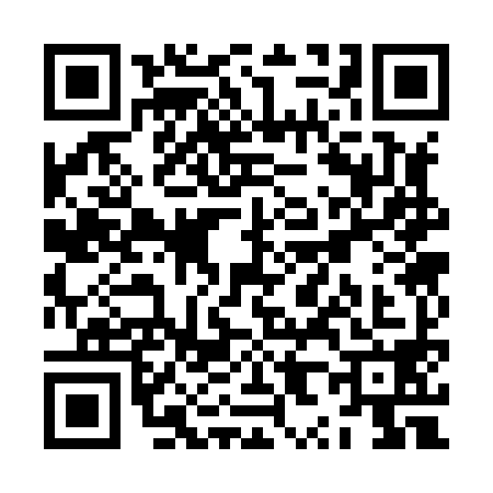 QR code for ZX38985