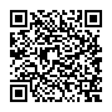 QR code for ZX41006
