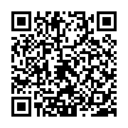 QR code for ZX60380