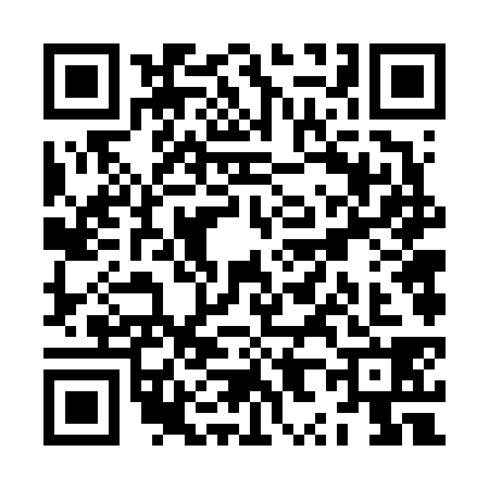 QR code for ZX66384