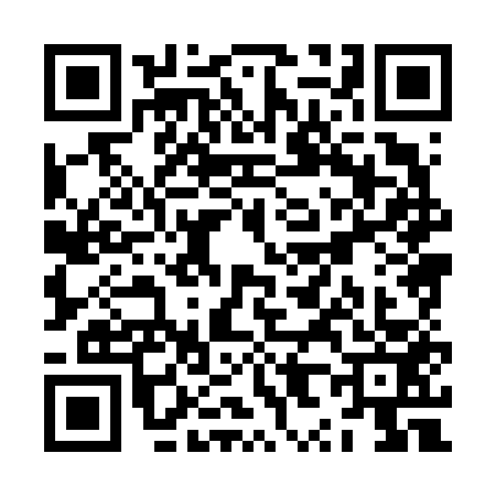 QR code for ZX86533