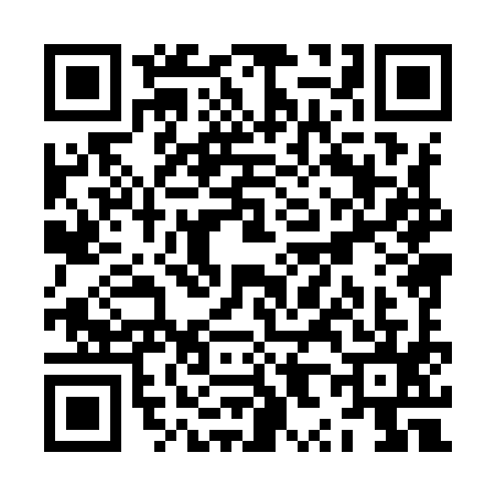 QR code for ZX89951