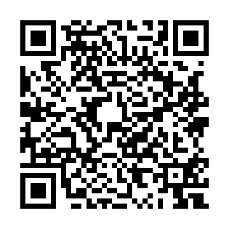 QR code for ZX91100