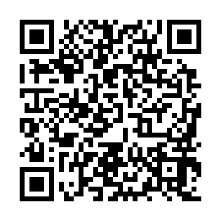 QR code for ZX93920
