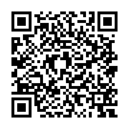 QR code for ZX95539