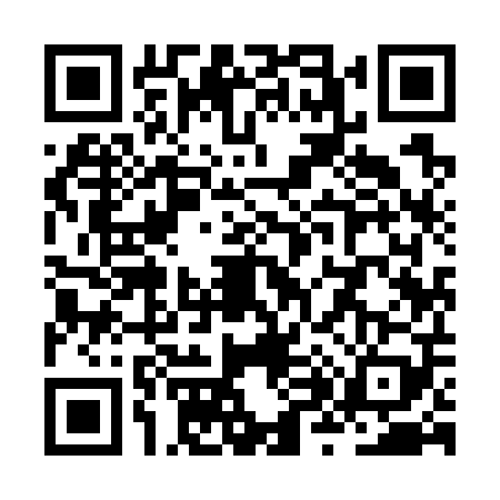 QR code for ZX97096