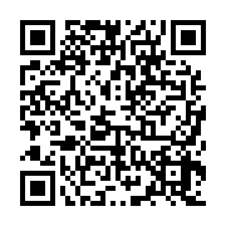 QR code for ZY01385