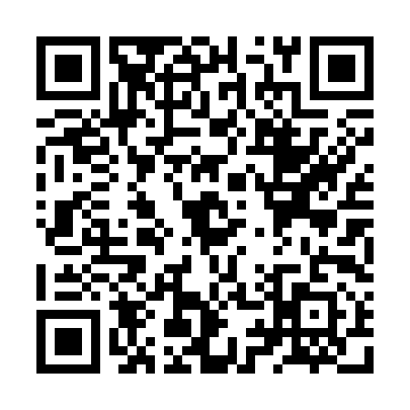 QR code for ZY03911
