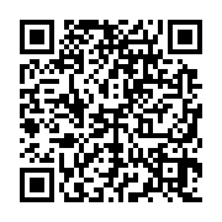 QR code for ZY13308