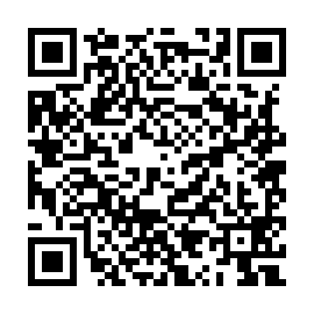 QR code for ZY29994
