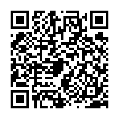 QR code for ZY66370
