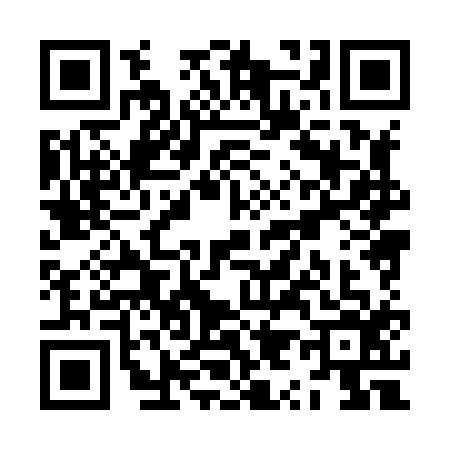 QR code for ZY88161
