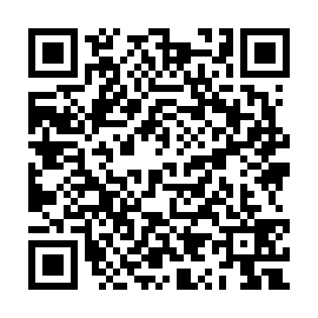 QR code for ZY96391