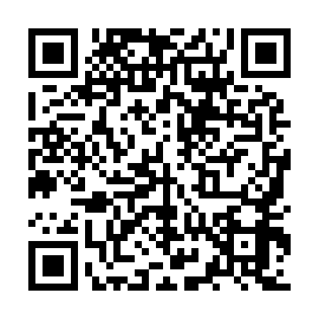 QR code for ZY99591