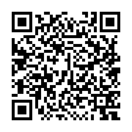 QR code for ZZ09732