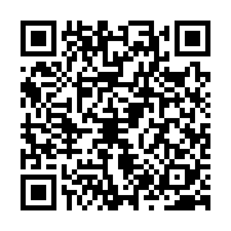 QR code for ZZ13285