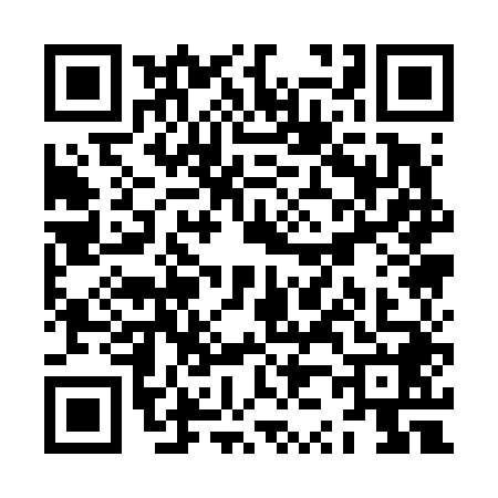 QR code for ZZ16487