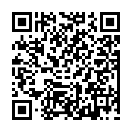 QR code for ZZ23951