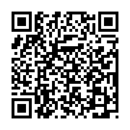 QR code for ZZ30193