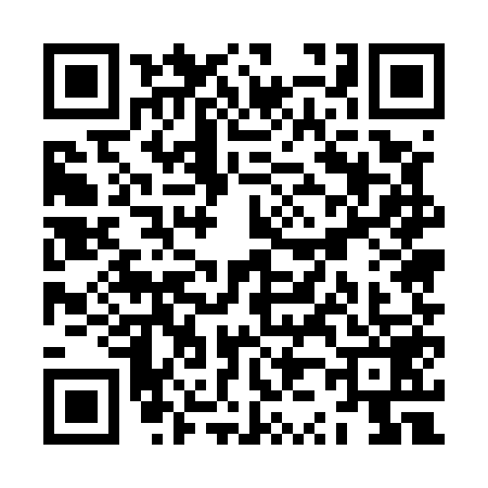 QR code for ZZ55593
