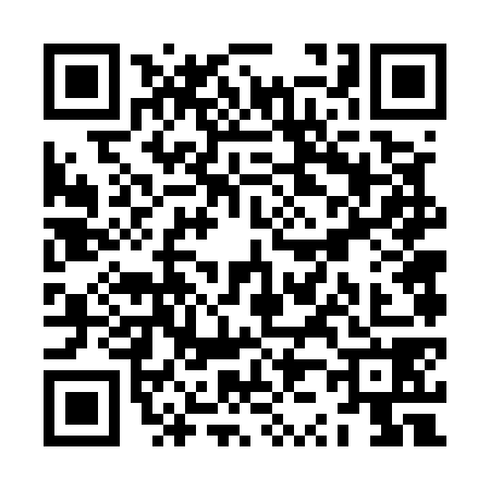 QR code for ZZ65789