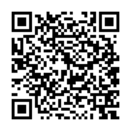 QR code for ZZ66738