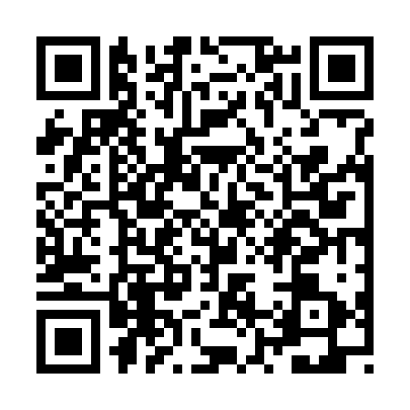 QR code for ZZ67233