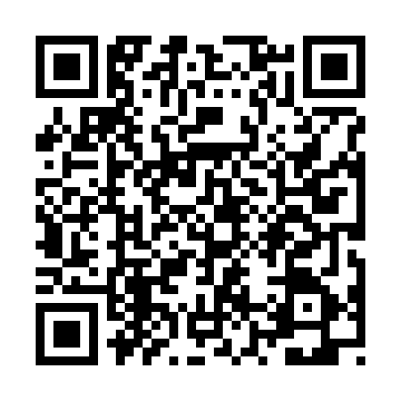 QR code for ZZ87655