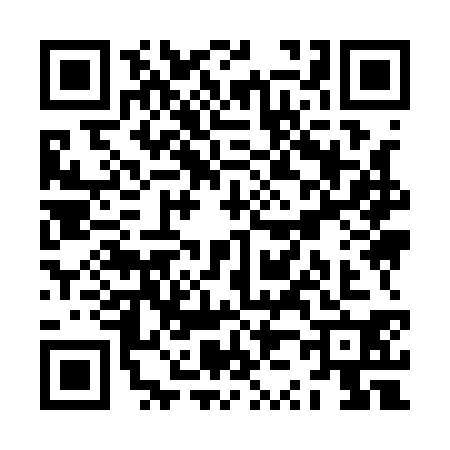 QR code for ZZ91301