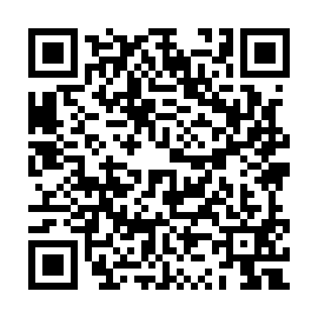 QR code for ZZ91917