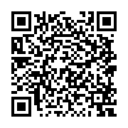 QR code for ZZ94869