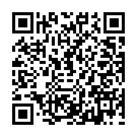 QR code for ZZ95330