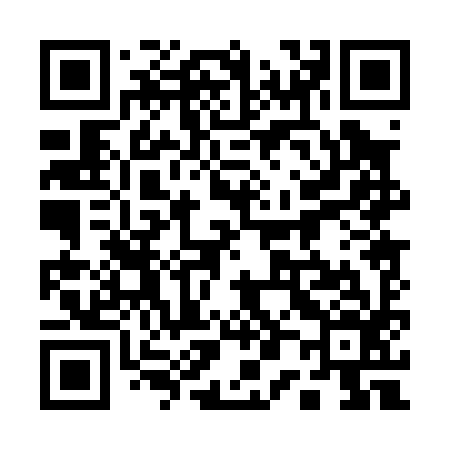 QR code for 100096