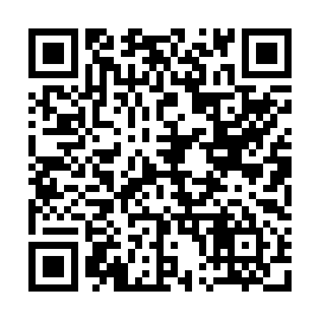 QR code for 100295