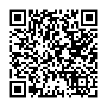 QR code for 100339
