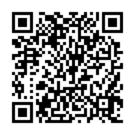 QR code for 100346