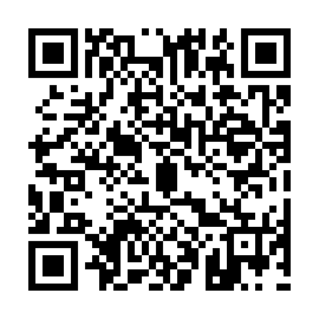 QR code for 100375