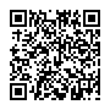 QR code for 100376