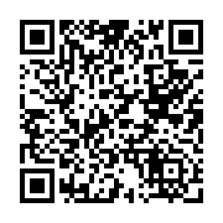 QR code for 100453