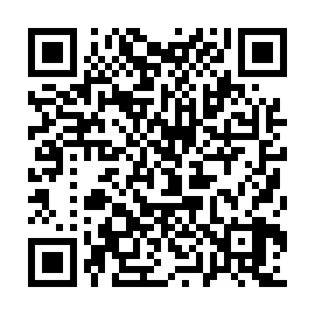 QR code for 100528