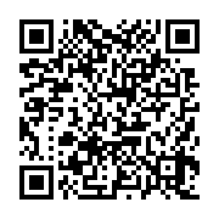 QR code for 100738