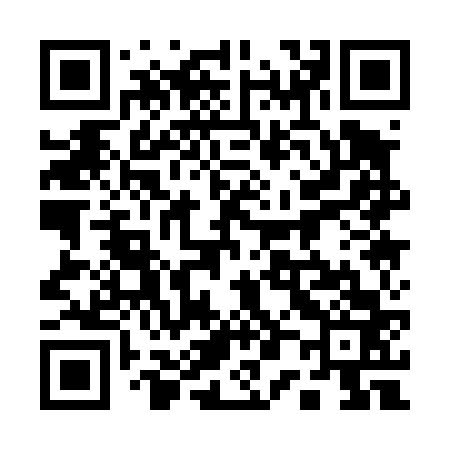 QR code for 101463