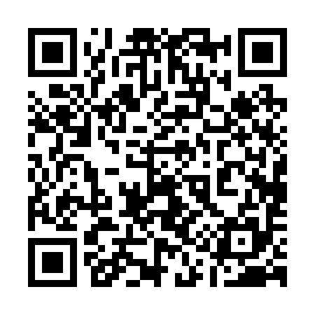 QR code for 110295
