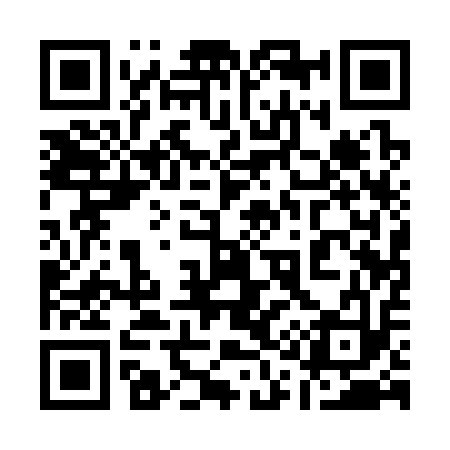 QR code for 111313