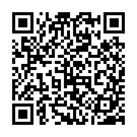 QR code for 113241
