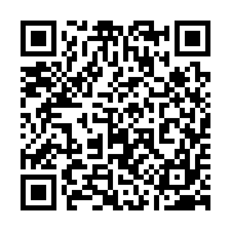 QR code for 113317
