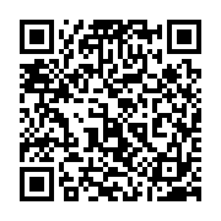 QR code for 113333