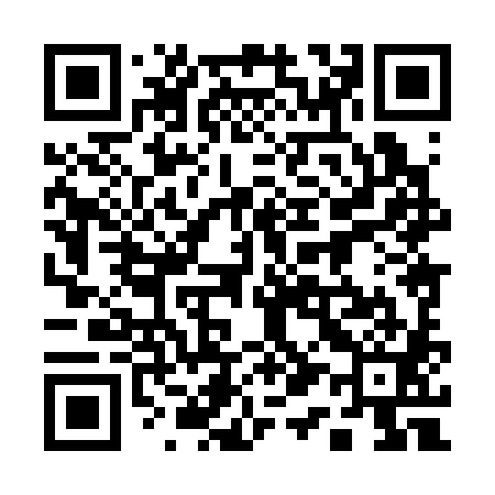 QR code for 118381