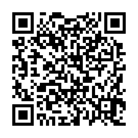 QR code for 118384